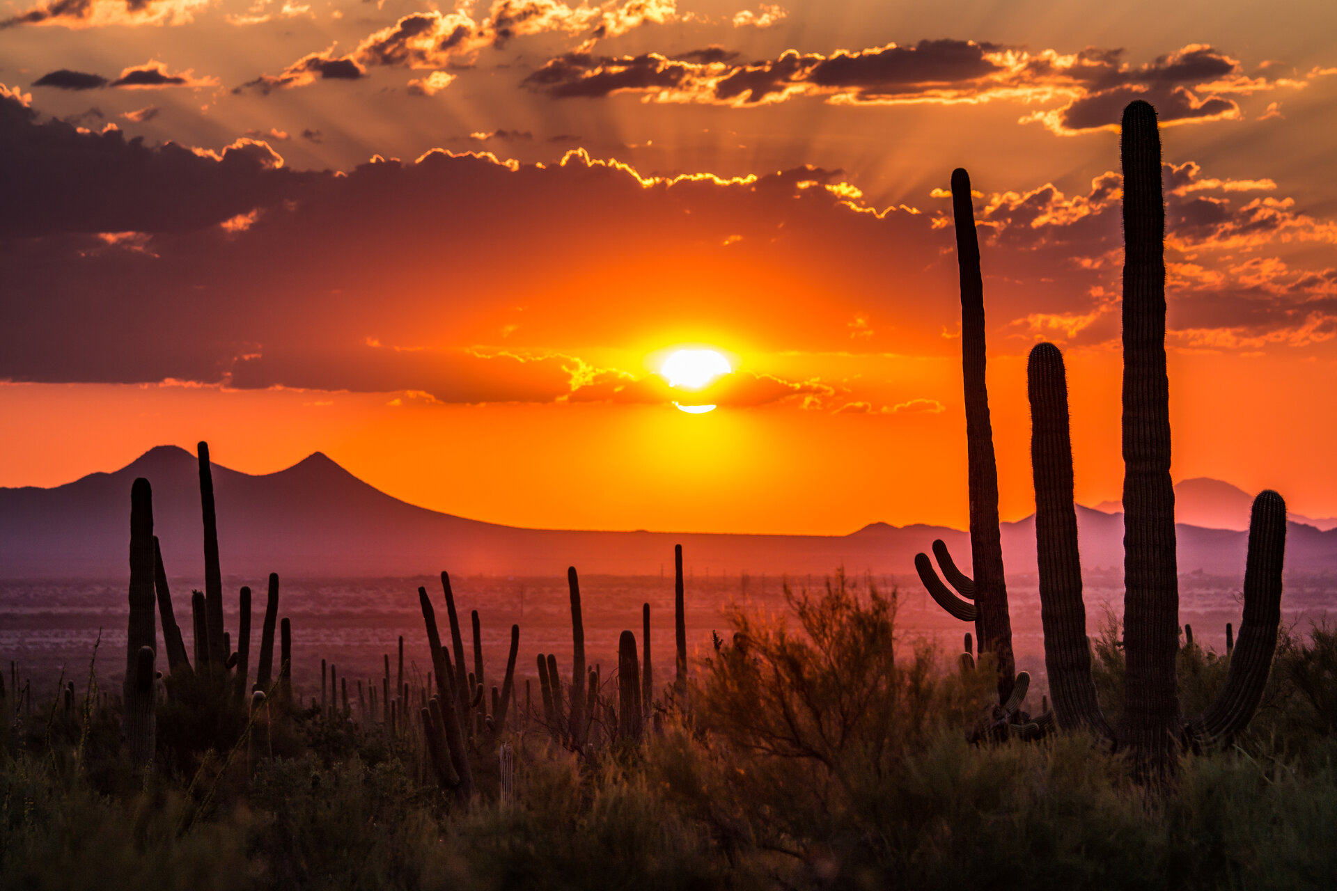 Arizona Landscape